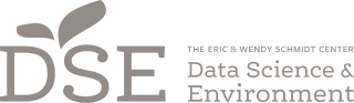 DSE Logo Grey