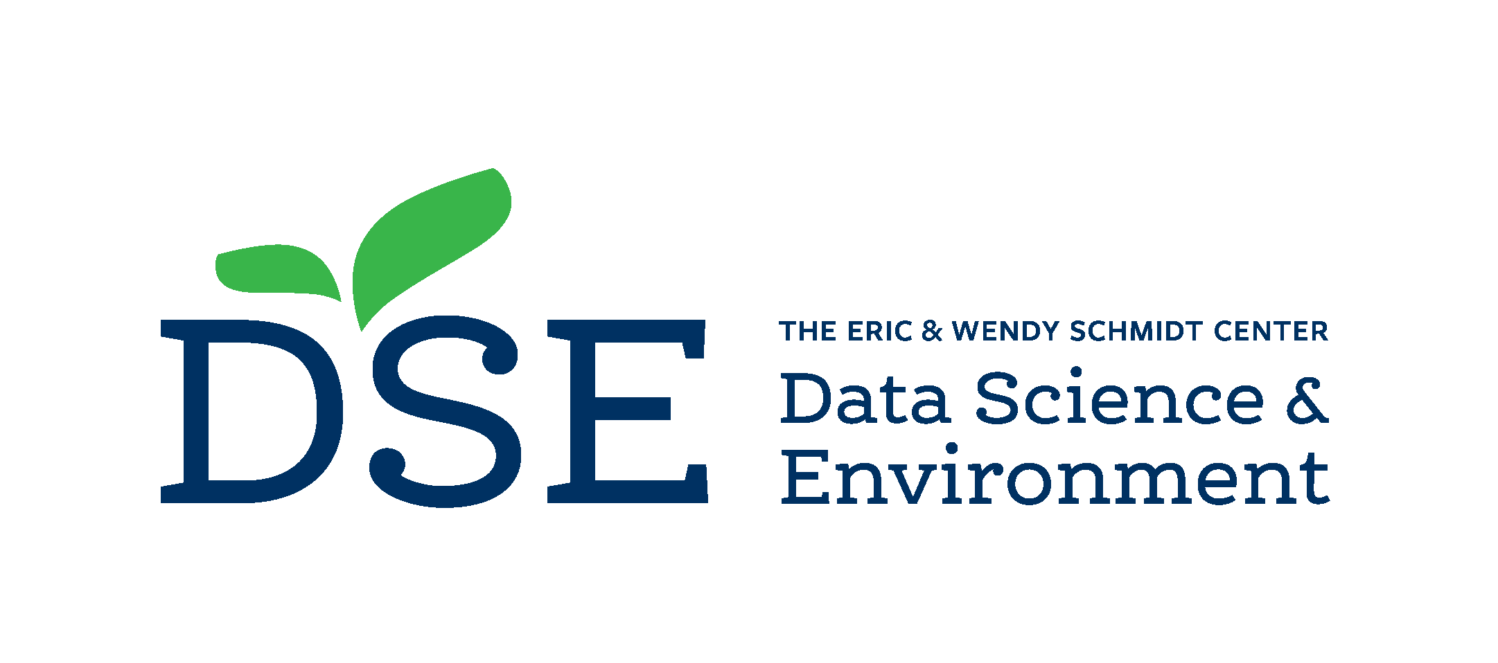 DSE Logo