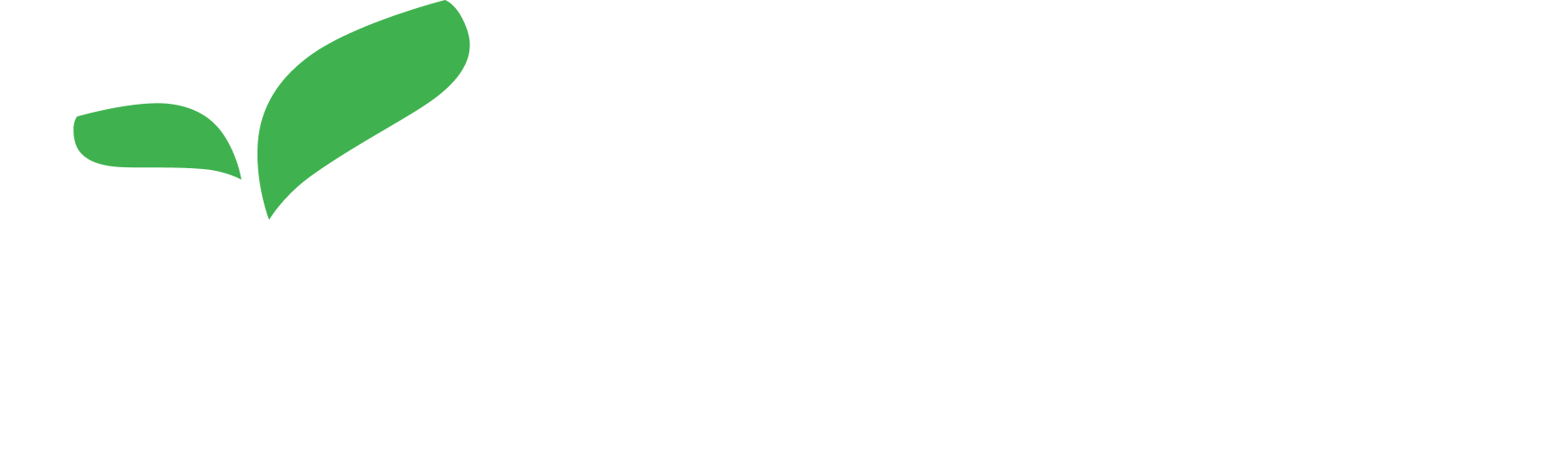 DSE Logo (footer)