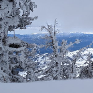 Tahoe Snow