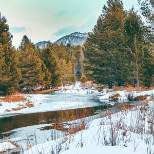 Snow along a river in a Northern CA forest