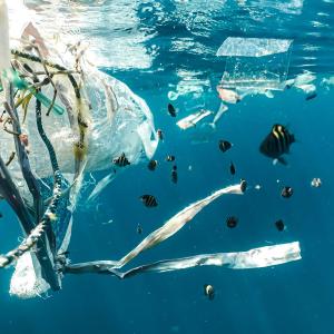 Plastic floating in the ocean while fish swim by