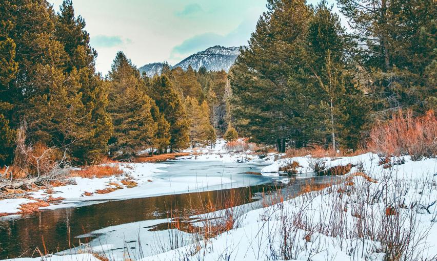 Snow along a river in a Northern CA forest