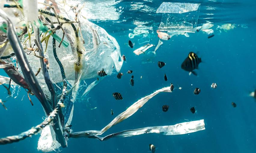 Plastic floating in the ocean while fish swim by