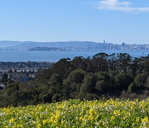 SF Bay