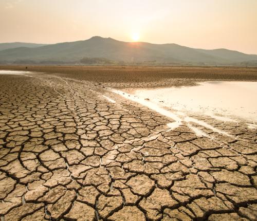 climate