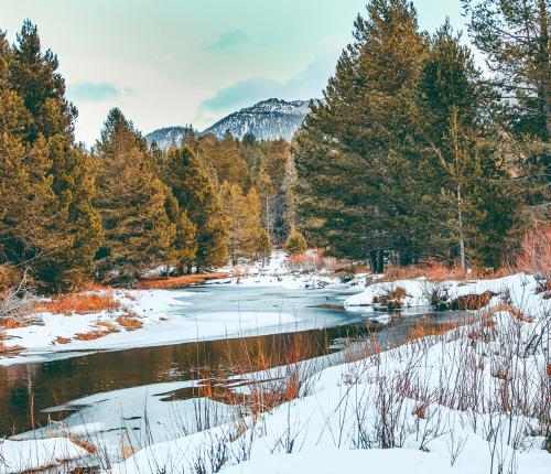 Snow along a river in a Northern CA forest