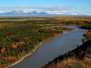 Image of the Copper River and surrounding forests in Alaska. Credit: National Park Service